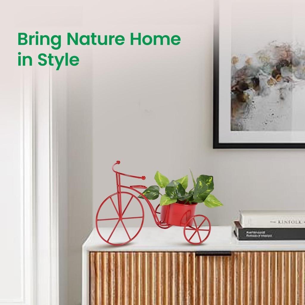 Cycle Shaped Metal Plant Stand for Indoor & Outdoor Use, Decorative Planter Pot for Flowers & Ornaments,