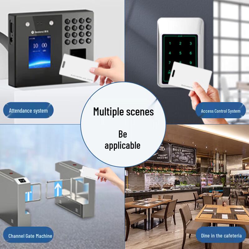 Realand RFID ID Thick Cards CN plug (adapter included)