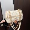 Borsa a catena di diamanti popolare oggi, borsa da donna di alta gamma, borsa a spalla singola obliqua alla moda e versatile