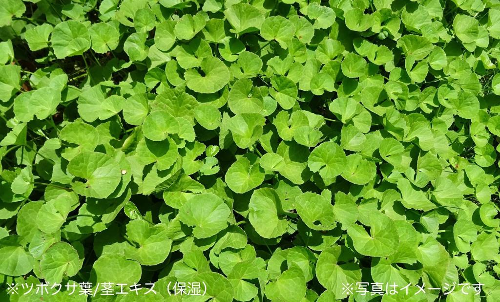 Uyu Beauty Serum 30ml, a moisturizing serum that replenishes moisture, improves firmness, and refines skin texture. Fragrance-free.