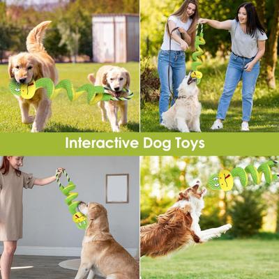 Köpek – Köpek oyuncakları