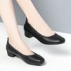 Women Black Shallow Mouth Low Heels Spring Autumn Fashion Round Head Thick Heeled Lightweight Work Office Single Shoes
