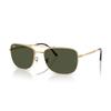 Sunglasses 0RB3755 GUNMETAL GREEN POLAR Polarized [Ray-Ban] (Green) 004/5859