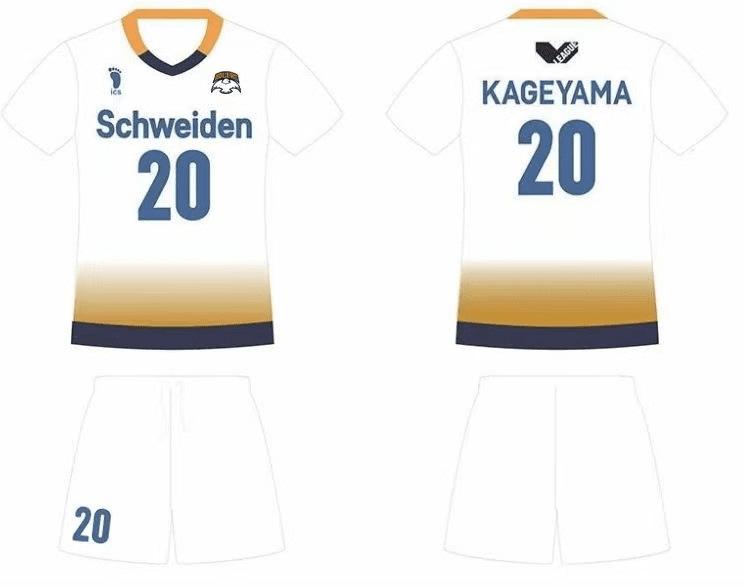 Customized full body non-sensory printing volleyball youth with the same jersey, professional volleyball jersey set, air volleyball COS jersey One size fits all