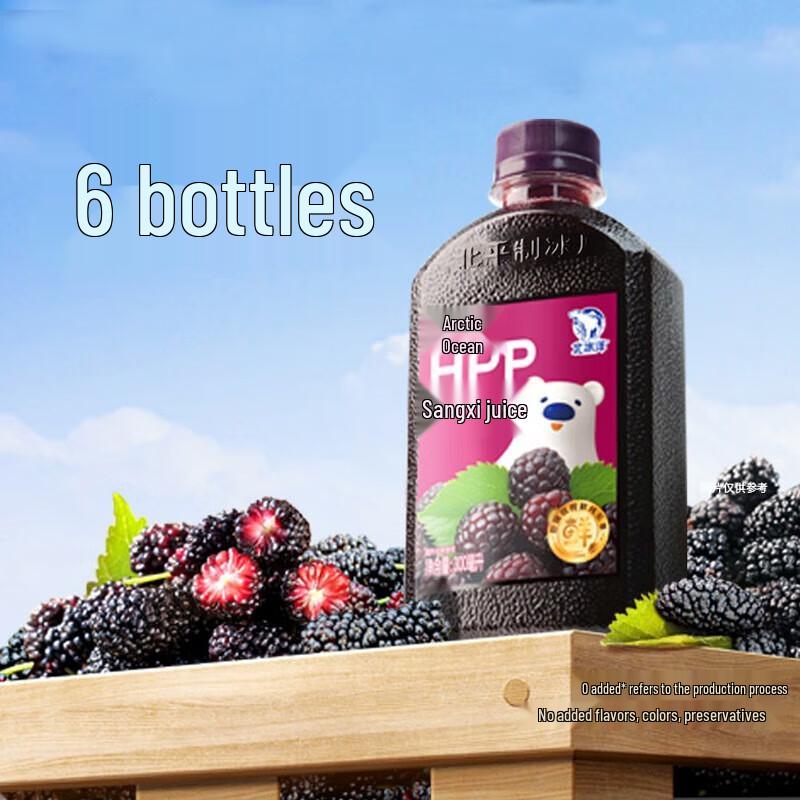 Beibingyang HPP Cold-Pressed Mulberry Juice 300mL x 6 Bottles