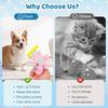 Set de Gato, Nuevo Juguete Interactivo para Gato para Enriquecimiento, Entrenamiento de Mascotas, Juguetes para Gato de Exterior
