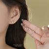 Korean Fashion Twelve Constellation Earrings for Women S925 Sterling Silver Exquisite Sparkling Zircon Earrings