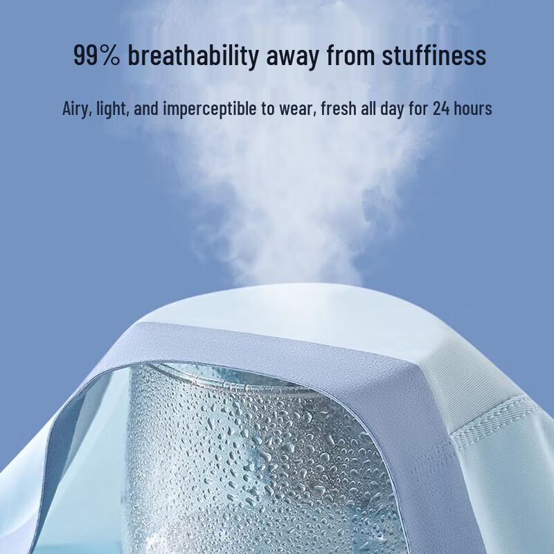 Woodpecker Men's Ice Silk Seamless Breathable Briefs Multi-pack