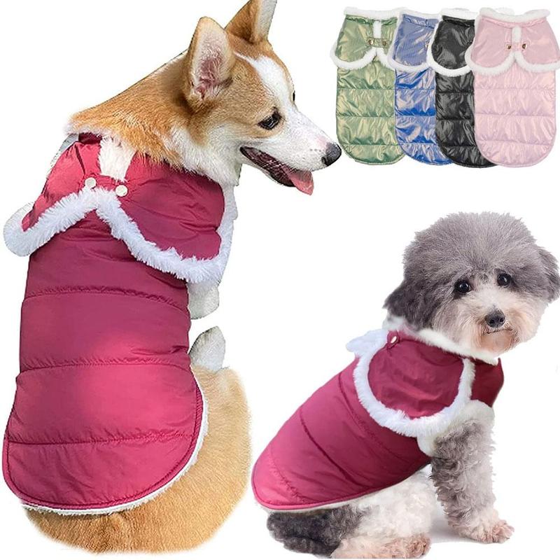medium dog coat