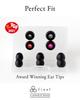 Final A3000 [FI-A3DPLDN] In-Ear Wired 2-Pin Earphones, Winner of the VGP 2021 Earphone Grand Prize