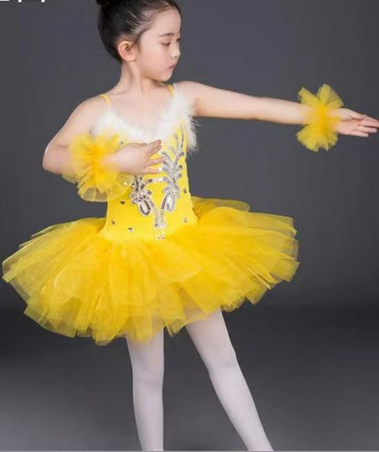 Children's and Adults' Sequin Ballet Tulle Skirt - Professional Swan Lake Dance Costume