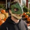 Parent Child Interactive Play Toys Realistic Dinosaur Mask, Moving Jaw Costume Mask for Human Theme Party Dress Up Supplies Pet, Novelty Cosplay