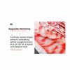 Printed Square Scarf Thin Headband New Silk Scarf  Women