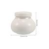 Airtight Ceramic Tea Canister for Tea Leaves Spices Powders Freshness Retention Elegant Kitchen Decor Chinese Style Porcelain