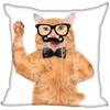 Bedroom Home Office Decor Pillowcase Square  Funny Cat Animal