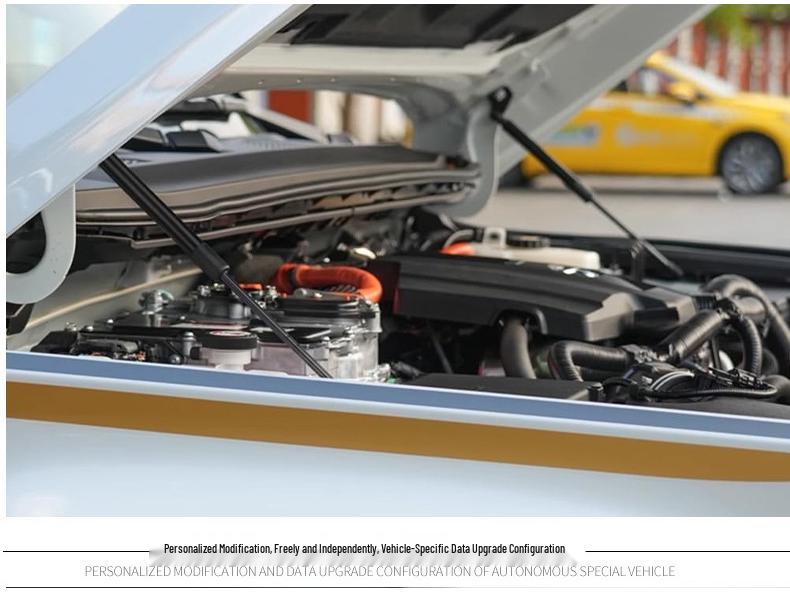 Gas Struts for 2024 Prado LC250 Hood Support