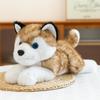New Simulation Husky Doll Plush Toy Erha Throw Pillow Doll Children's Doll Birthday Gift Girl