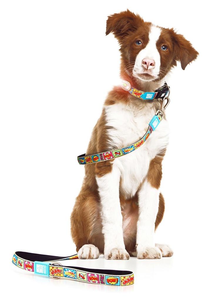 ROOKCRAN Max & Molly Large Dog Leash, Comic Design, Suitable for Small, Medium, and Large Dogs, Stylish, 064701