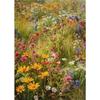Wildflower Field Floral Natural Landscape Canvas Painting Posters and Prints Wall Art Picture for Living Room Home Decor Cuadros