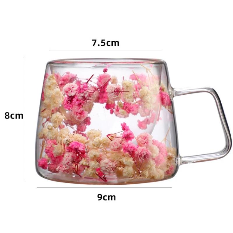 Double-Walled Glass Coffee Cup, Built-In Real Flower Design,Transparent Glass Coffee Cup for Hot & Cold Beverages, Tea, Latte