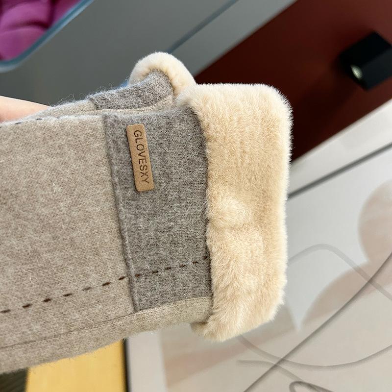 Warm Gloves for Women In Autumn and Winter Korean Fashion Touch Screen Plus Velvet and Thickened Cycling Color Matching Cold-proof Velvet Labeling