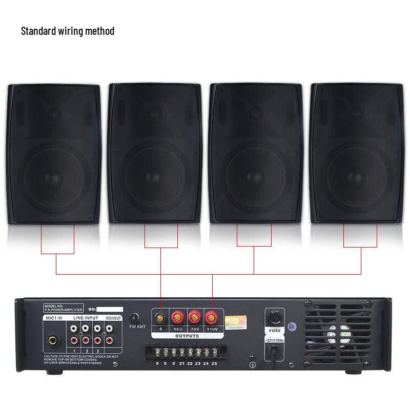 Lingsheng Wall-Mounted Speaker System for Conference & Background Music (CN version)