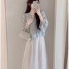 Women's Summer Hanfu Set: Embroidered Top & Dress Two-Piece - New Chinese Style for Tea Ceremony