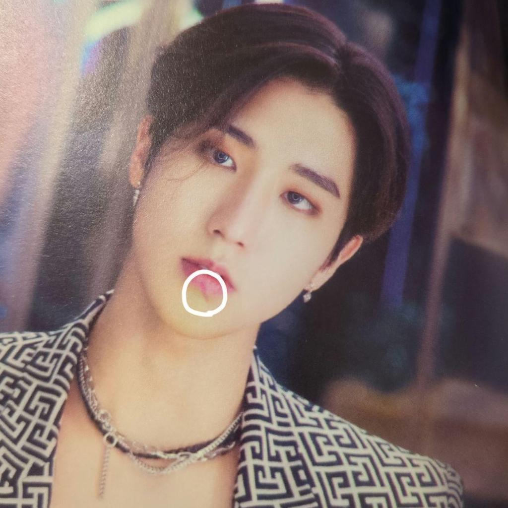 [GEBRAUCHT] straykids Stay in STAY Fotobuch Jeju Fotobuch SKIZ