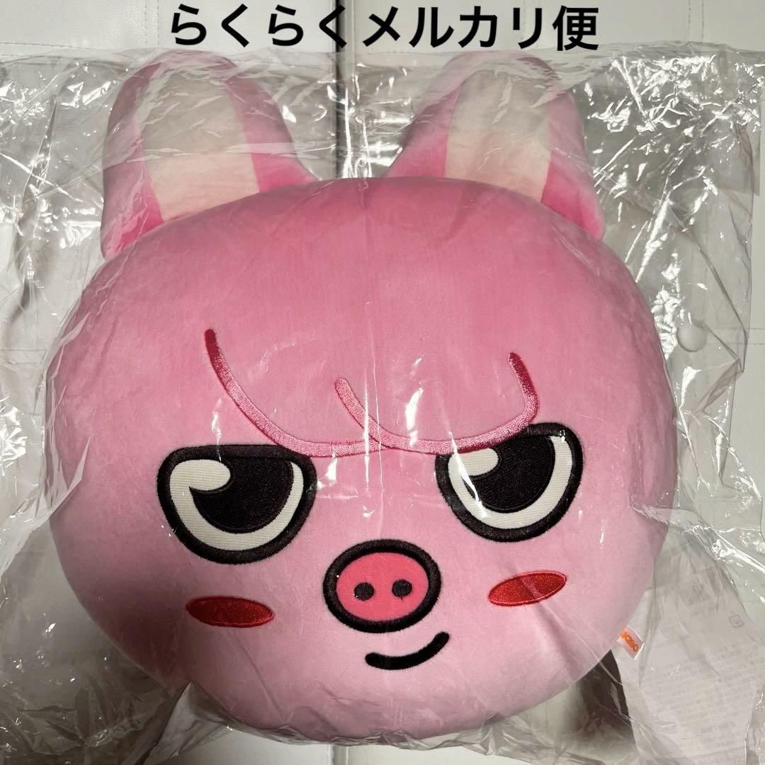 

[USED] Stray Kids Changbin, cushion