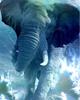 5D Diamond Painting Elephant Full Drill Square Needlework Diamond Embroidery Full Set Animal Diamond Mosaic Cross Stitch Craft Kit Home Decor