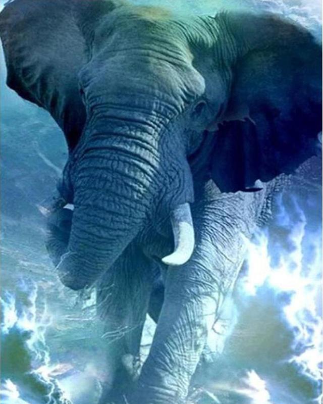 5D Diamond Painting Elephant Full Drill Square Needlework Diamond Embroidery Full Set Animal Diamond Mosaic Cross Stitch Craft Kit Home Decor