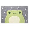 Suitable For All Rooms Wide Application Bathroom Mat Multi-functional Non-slip Bathroom Floor Mats