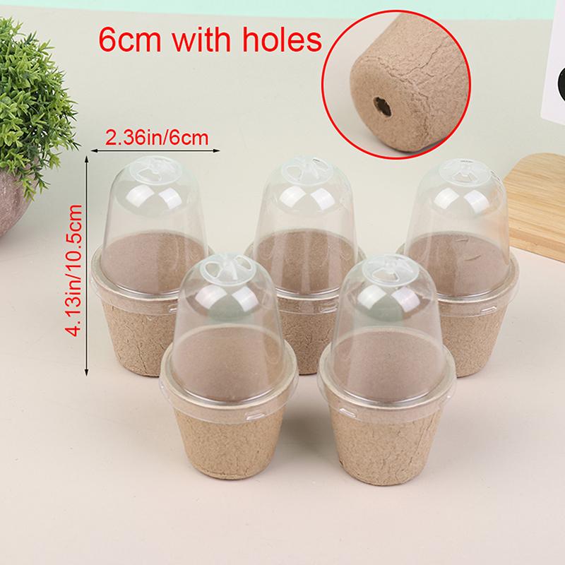 

5 шт. биоразлагаемый целлюлозный рассадный стаканчик с прозрачной ПЭТ-крышкой, горшок для проращивания рассады, садовые посадочные принадлежности