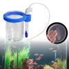 Peixes e animais aquáticos – Manutenção de aquário