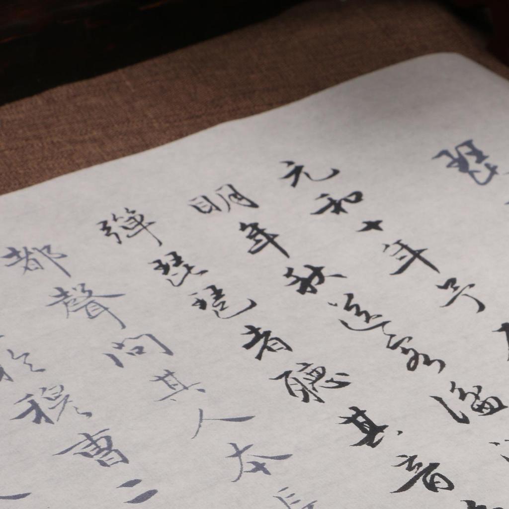 Chen Guozhao Cursive Calligraphy Practice Book: Red Outlined Xuan Paper with Brush for Beginners