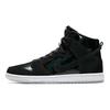 SB Zoom Dunk High Pro