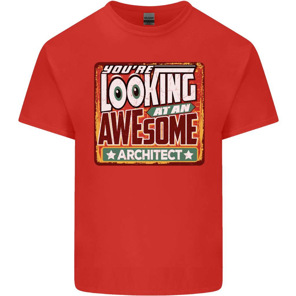 Youre Looking At an Awesome Architect Unisexs Light Cotton TShirt