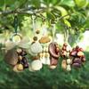 Sound Heal Natural Fruit Shell Keychain Handmade Bohemian Style Hand-Cranked Wind Chime Gift DIY Fruit Shell Wind Chime Ornament