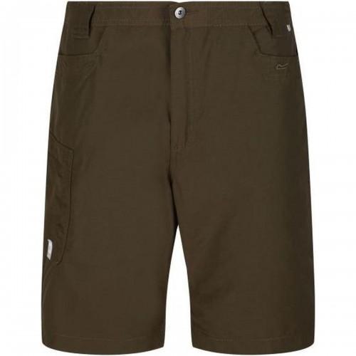 

Regatta Mens Delgado Shorts 34R