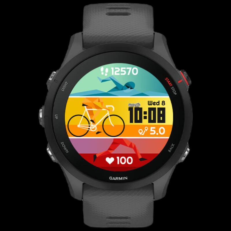 Garmin Forerunner 255 Smart Watch (CN version)