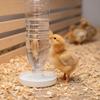 Automatic Anti Drowning Poultry Waterer For Chicks Ducks Portable Drinking Tool Fit Mineral Water Bottles