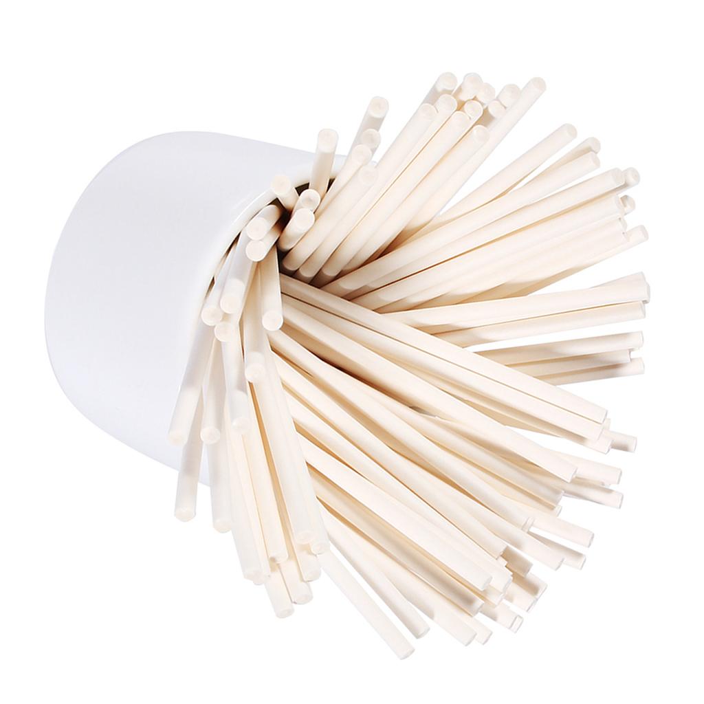 100 Pcs Set Colorful Lollipop Sticks Cake Pop Sticks for Candy Sweet Chocolate 10cm DIY Making