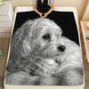 1PC White Furry Companion Pattern Flannel Blanket Suitable For All Seasons for Home Decor Warmth and Comfort Ideal Gift Birthday Present