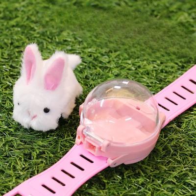 Children Mini RC Car Watch Toys with LED Lights 2.4G Watch Plush Rabbit Capybara Racing RC Car Girls Boys Birthday Gift Toys