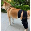 Dog Leg Knee Support, Pet Supplies, Injury Assist Strap for Dogs, Anti-Licking Recovery Bandage, Pet Joint Protector