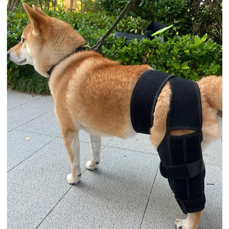 Dog Leg Knee Support, Pet Supplies, Injury Assist Strap for Dogs, Anti-Licking Recovery Bandage, Pet Joint Protector