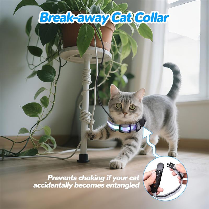 Kattenhalsband Met Afstandsbediening, Oplaadbaar Waterdicht LED-licht Voor de Nacht, Hond Voor Nachtwandeling Accessoires