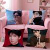 actor handsome YYang Yang Cushion Cover Pillow Case Soft Skin Friendly Fabric  Concealed Zipper