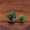 1/12 Dollhouse Simulation Mini Green Tree Potted Dollhouse Home Decorations Dolls House Micro Landscape Garden Ornament