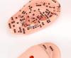 13cm-18cm Ear Acupoint Reflex Zone Model for Acupuncture and Meridian Therapy